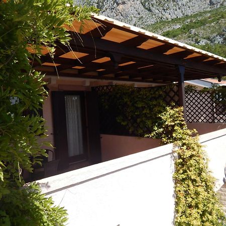 Apartmani Zona Sveti Stefan Zewnętrze zdjęcie