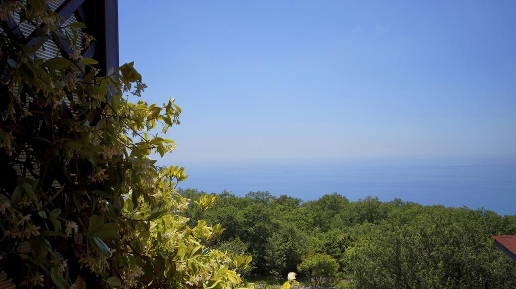 Apartmani Zona Sveti Stefan Zewnętrze zdjęcie
